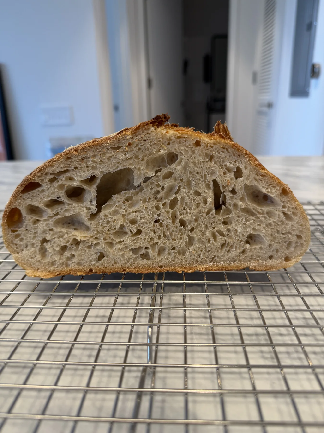 Crumb profile