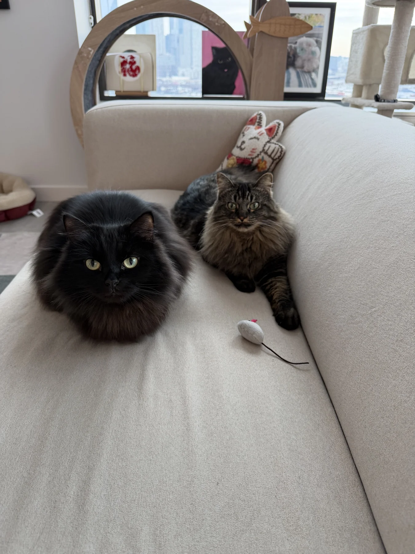 Couch supervisors